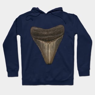 Shark Tooth2 Hoodie